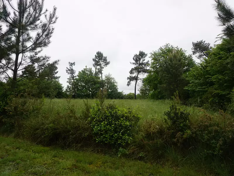 Terrain, 2 604 m²