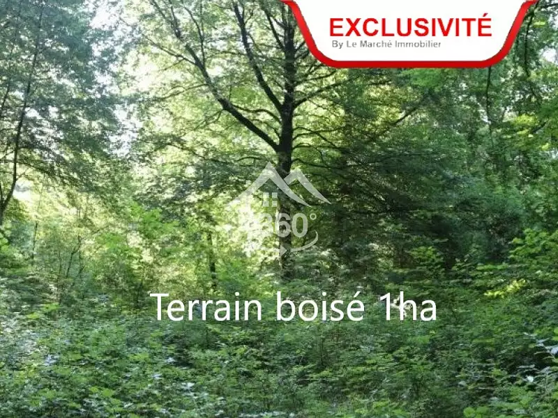 Terrain, 11 100 m²