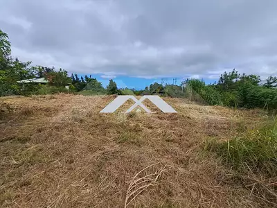 Terrain, 491 m²