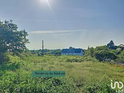 Terrain