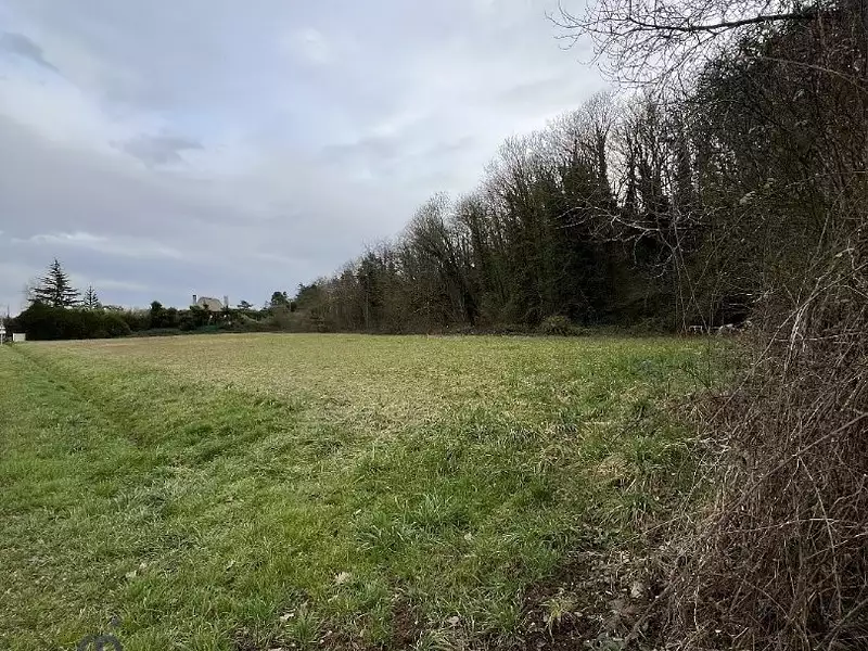 Terrain, 7 323 m²