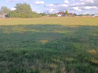 Terrain, 9 159 m²