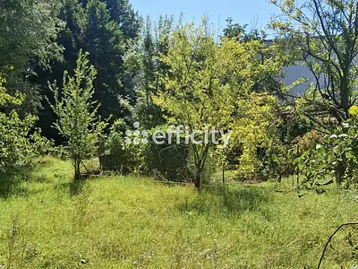 Terrain, 963 m²