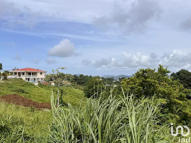 Terrain