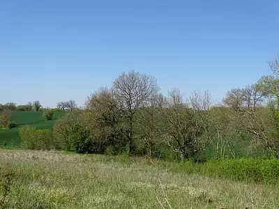 Terrain, 2 337 m²