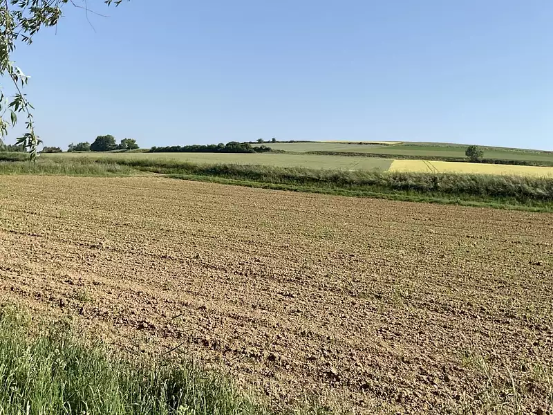 Terrain, 2 600 m²