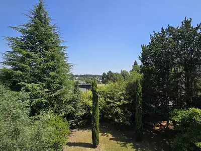 Maison, 310 m²