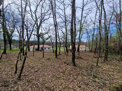 Terrain, 1 516 m²