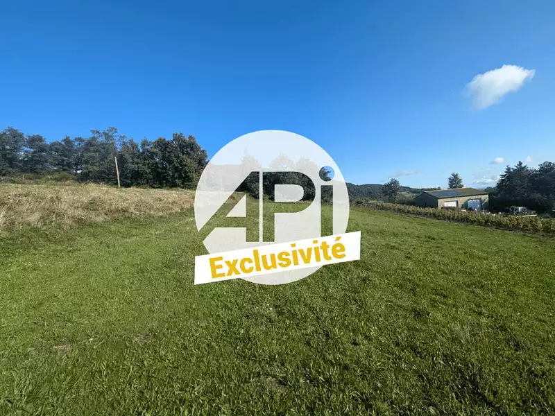 Terrain, 979 m²