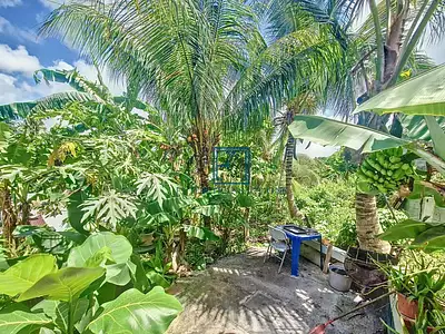 Maison, 76 m²
