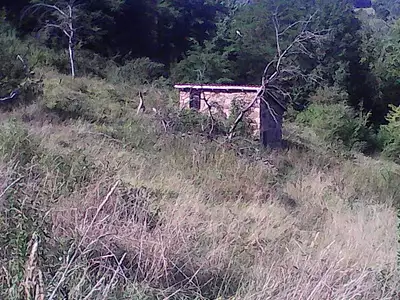 Terrain, 8 317 m²