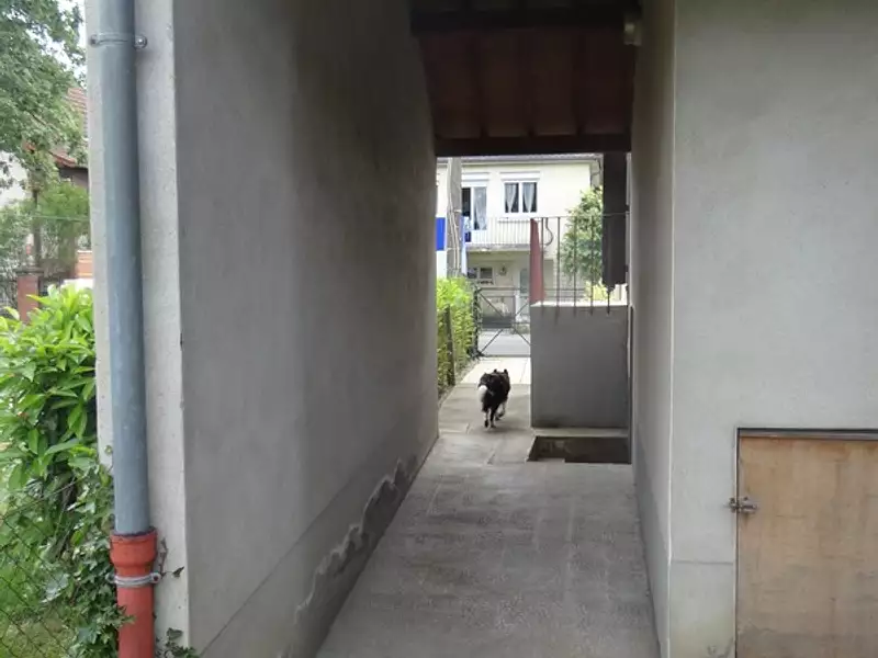 Maison, 57 m²