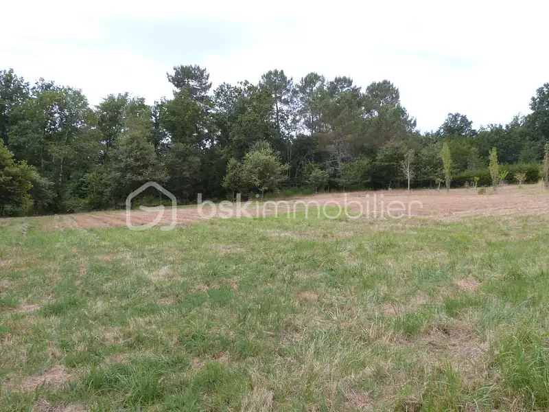Terrain, 4 424 m²