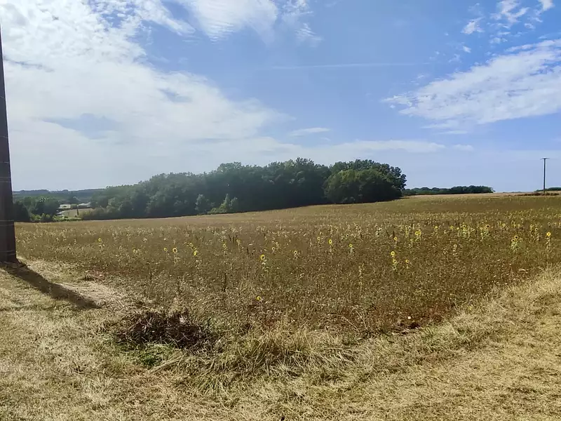 Terrain, 2 000 m²