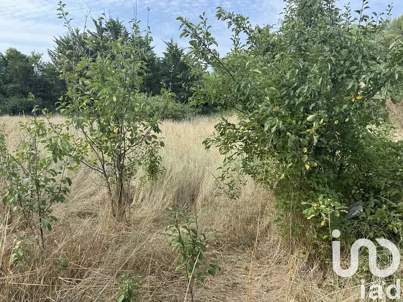 Terrain, 500 m²