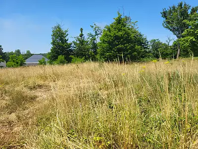 Terrain, 719 m²