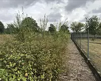 Terrain, 801 m²