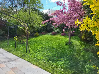 Maison, 115 m²