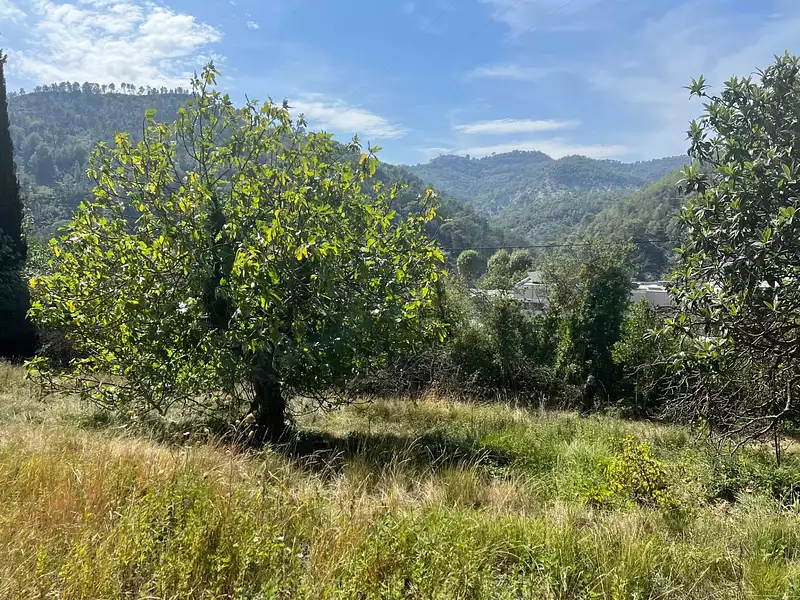 Terrain, 1 143 m²