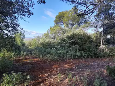 Terrain, 20 880 m²