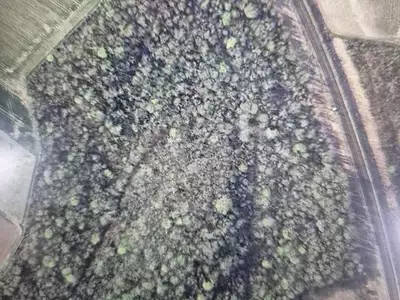 Terrain, 137 452 m²