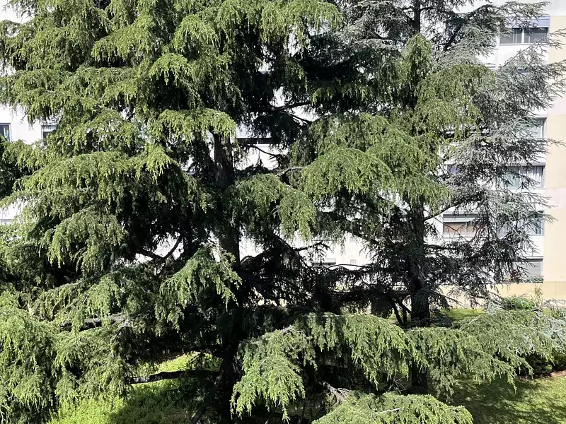 Appartement, 66,61 m²