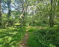 Terrain, 40 920 m²