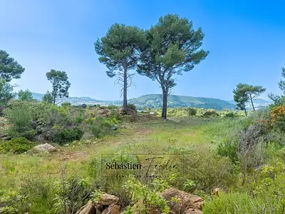 Terrain, 7 720 m²