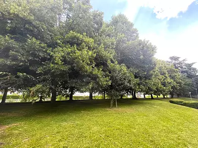 Appartement, 83,84 m²