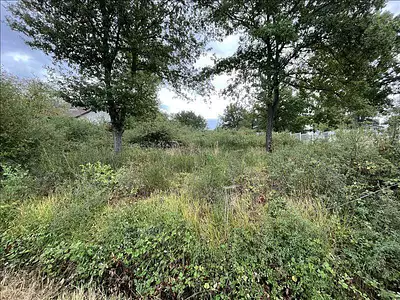 Terrain, 957 m²