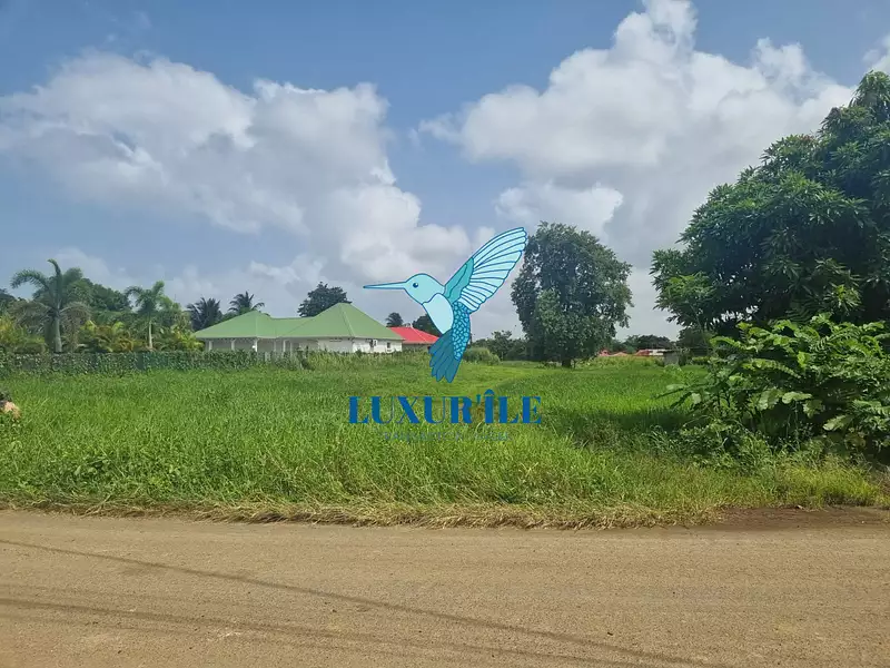 Terrain, 730 m²