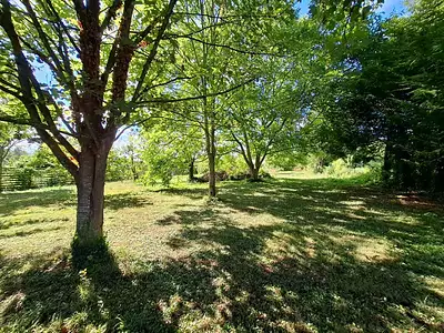 Terrain, 1 505 m²