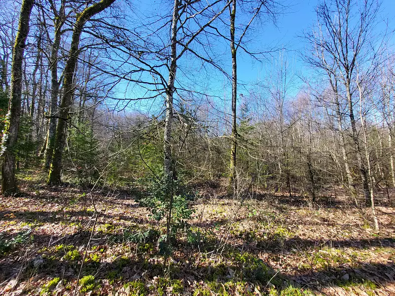 Terrain, 27 664 m²