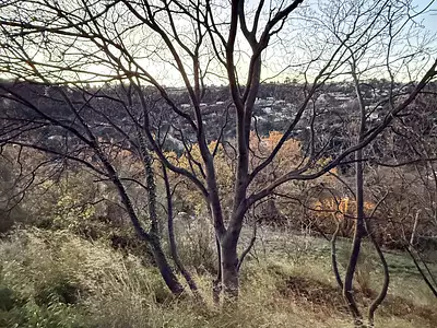 Terrain, 1 985 m²