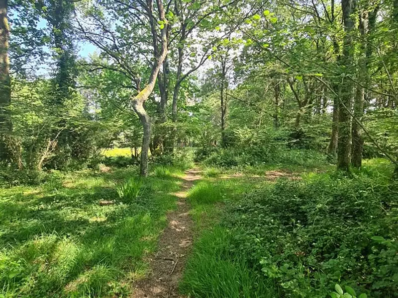 Terrain, 40 920 m²