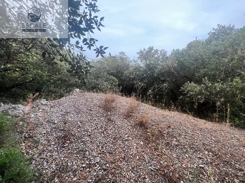 Terrain, 6 091 m²
