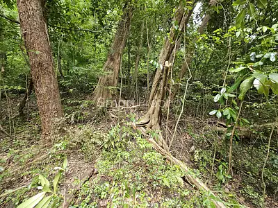 Terrain, 3 578 m²