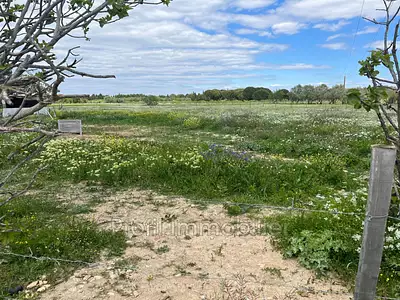Terrain, 3 984 m²