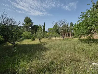 Terrain, 804 m²