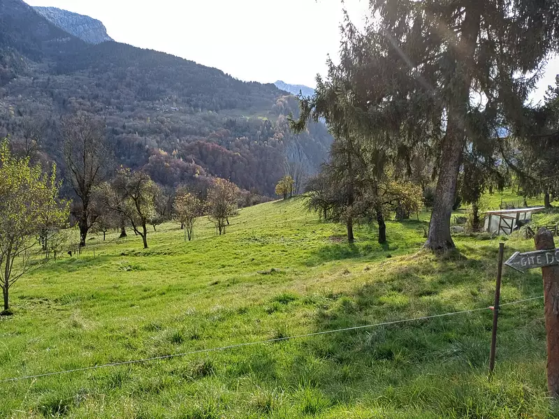 Terrain, 667 m²