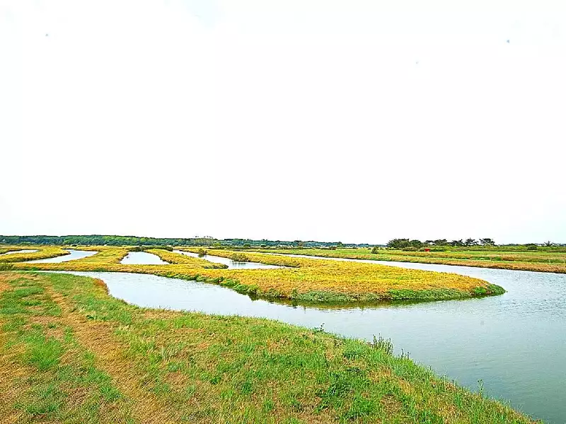 Terrain, 33 500 m²