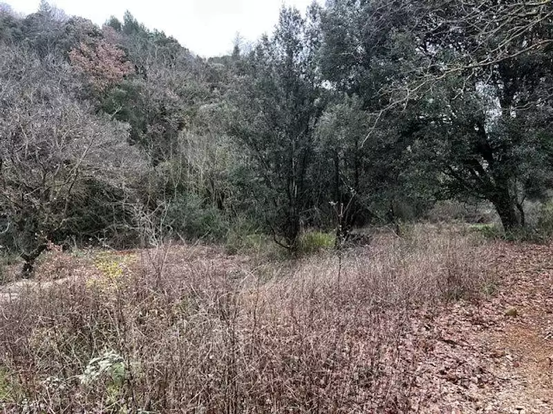 Terrain, 6 290 m²