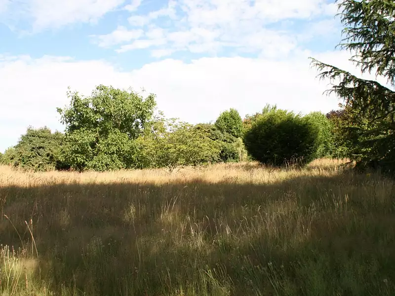 Terrain, 2 500 m²