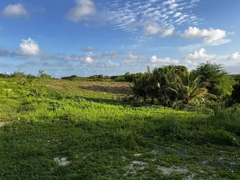 Terrain, 400 m²