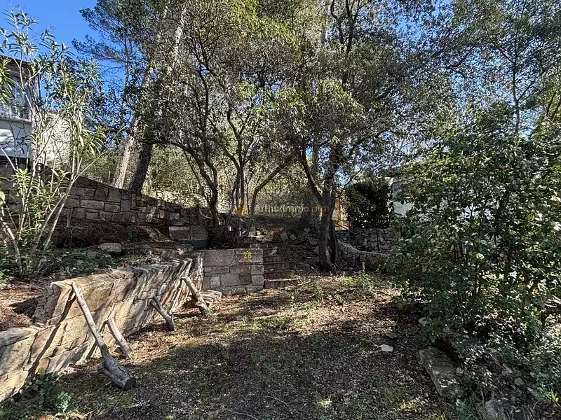 Terrain, 205 m²