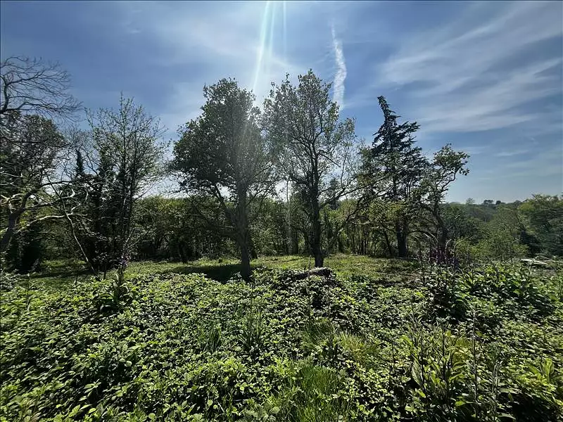 Terrain, 19 292 m²