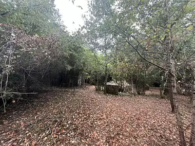 Terrain, 1 423 m²