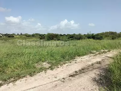 Terrain, 600 m²