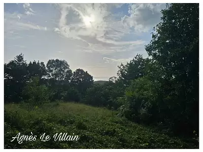Terrain, 2 983 m²