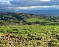 Terrain, 2 774 m²